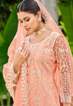 Embroidered Net Pakistani Suit in Peach