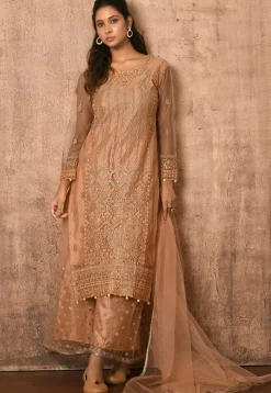 Embroidered Net Pakistani Suit in Peach