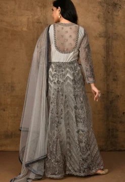 Embroidered Net Pakistani Suit in Light Grey