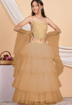 Embroidered Net Ruffled Lehenga in Beige