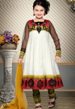 Embroidered Net Salwar Set in Off White