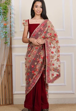 Embroidered Net Saree in Beige and Maroon