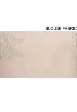 Embroidered Net Saree in Beige
