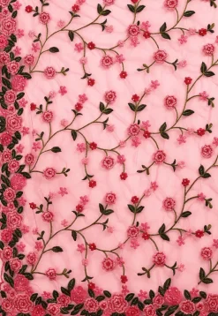 Embroidered Net Scalloped Saree in Pink