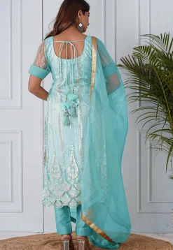Embroidered Net Scalloped Hem Pakistani Suit in Pastel Blue