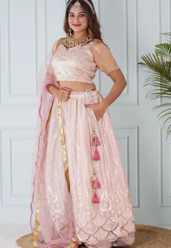 Embroidered Net Scalloped Lehenga in Light Pink