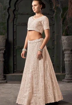Embroidered Net Scalloped Lehenga in Beige