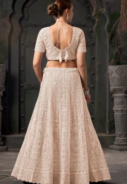 Embroidered Net Scalloped Lehenga in Beige