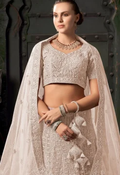 Embroidered Net Scalloped Lehenga in Beige