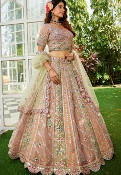 Embroidered Net Scalloped Lehenga in Multicolor
