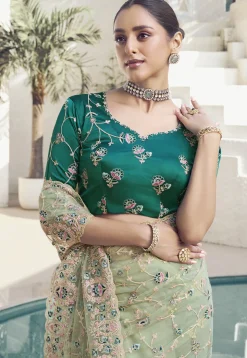 Embroidered Net Scalloped Saree in Light Green