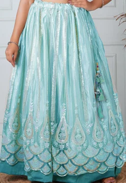 Embroidered Net Skirt in Sky Blue
