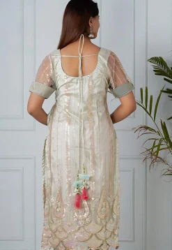 Embroidered Net Straight Kurta in Pastel Green