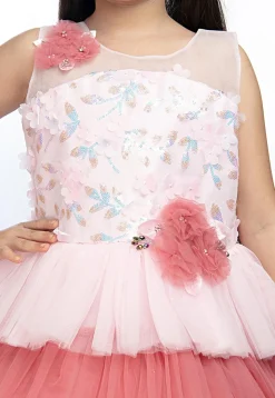 Embroidered Net Tiered Gown in Light Pink and Peach