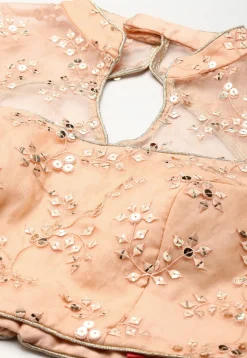 Embroidered Organza Back Cut Out Blouse in Peach