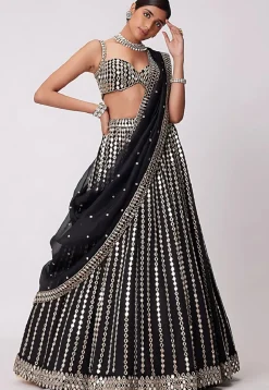 Embroidered Organza Lehenga in Black