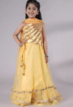 Embroidered Organza Lehenga in Yellow