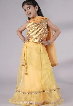 Embroidered Organza Lehenga in Yellow