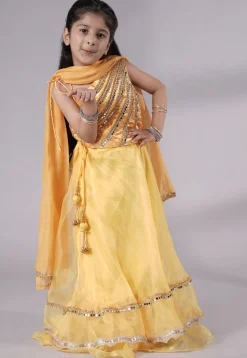 Embroidered Organza Lehenga in Yellow