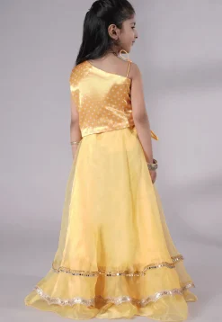 Embroidered Organza Lehenga in Yellow