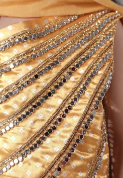 Embroidered Organza Lehenga in Yellow