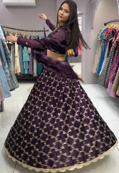Embroidered Organza Lehenga in Wine