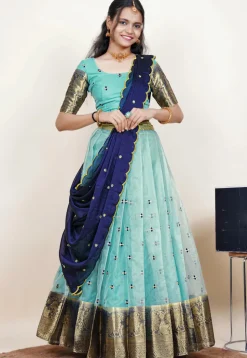 Embroidered Organza Lehenga in Light Blue