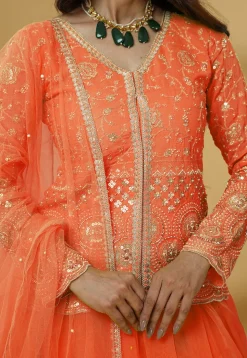 Embroidered Organza Lehenga in Orange