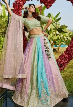 Embroidered Organza Lehenga in Multicolor
