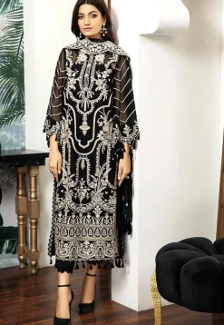 Embroidered Organza Pakistani Suit in Black