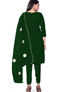 Embroidered Organza Straight Suit in Green