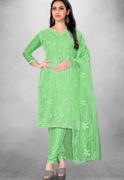 Embroidered Organza Straight Suit in Green