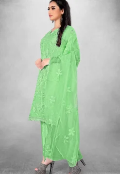 Embroidered Organza Straight Suit in Green
