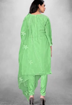 Embroidered Organza Straight Suit in Green