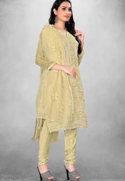 Embroidered Organza Straight Suit in Beige