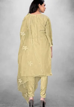 Embroidered Organza Straight Suit in Beige