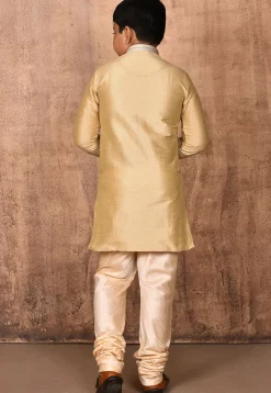 Embroidered Placket Dupion Silk Kurta Set in Beige