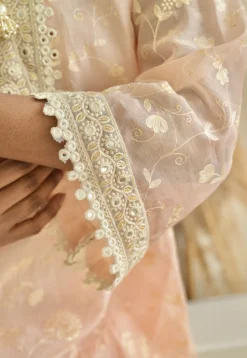 Embroidered Pure Chanderi Silk Pakistani Suit in Light Peach