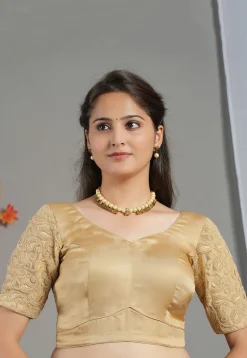 Embroidered Sleeve Shimmer Georgette Blouse in Beige