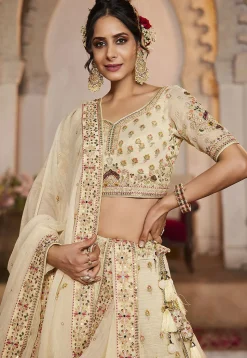 Embroidered Tissue Lehenga in Beige