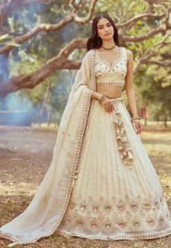 Embroidered Tissue Lehenga in Cream