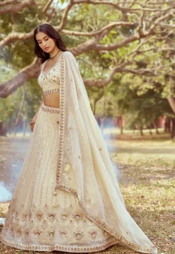 Embroidered Tissue Lehenga in Cream