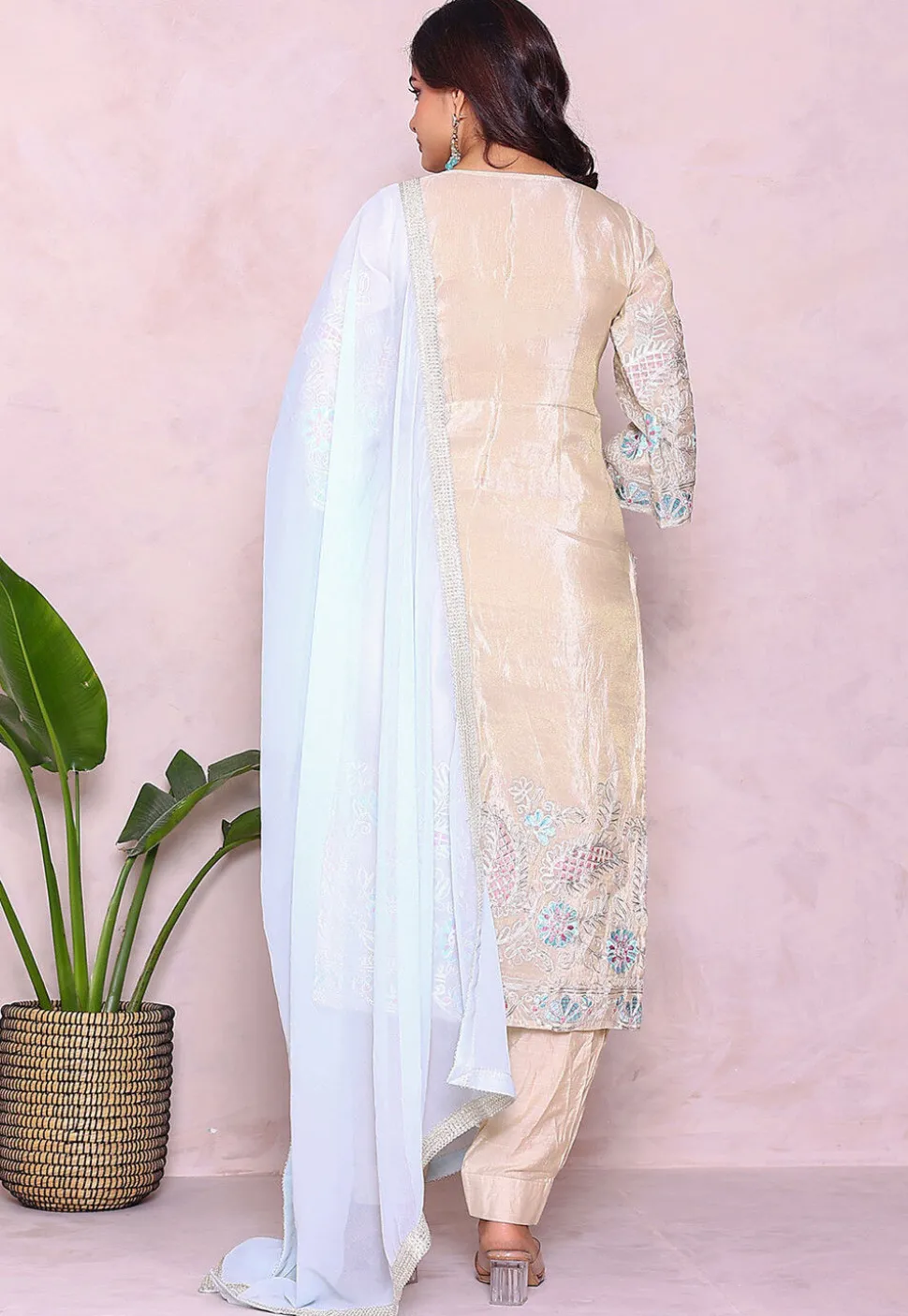Embroidered Tissue Punjabi Suit in Light Beige