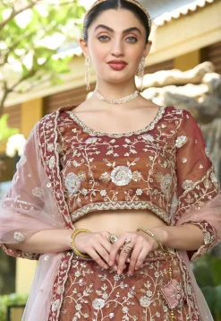 Embroidered Tissue Silk Lehenga in Brown