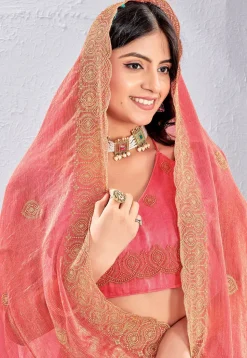 Embroidered Tissue Silk Saree in Peach