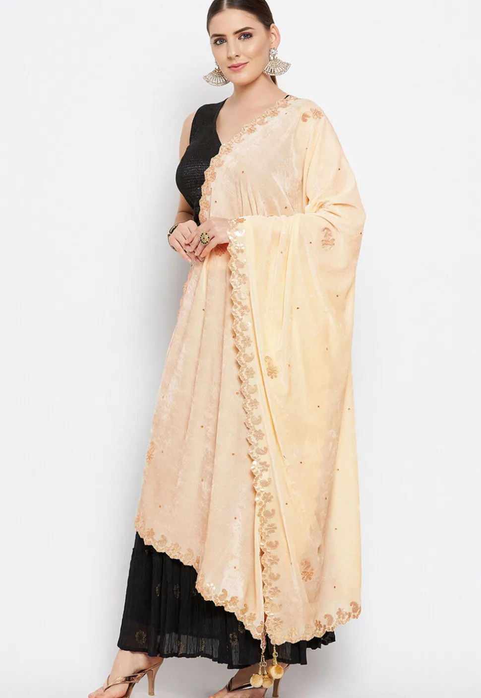 Embroidered Velvet Dupatta in Light Beige