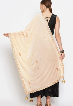 Embroidered Velvet Dupatta in Light Beige