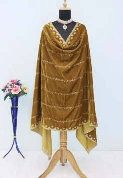 Embroidered Velvet Dupatta in Beige
