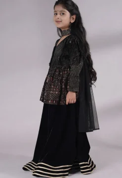 Embroidered Velvet Lehenga in Black