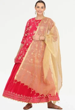 Embroidered Velvet Lehenga in Pink